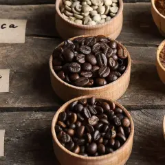 Ziarna kawy: Liberica, Robusta i Arabica w miseczkach, obok mielonej kawy. Wybór między arabica czy robusta.