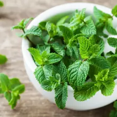 Świeża mięta w moździerzu, idealna na zaparcia. Jej aromatyczne liście to naturalny sposób na ulgę.
