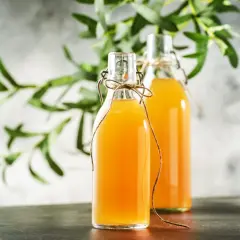 Dwie butelki z domową kombuchą, idealne do wypróbowania prostego kombucha przepis. Zielone liście w tle dodają świeżości.