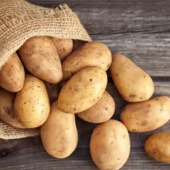 Z worka wysypują się ziemniaki, różne odmiany, gotowe do przyrządzenia.