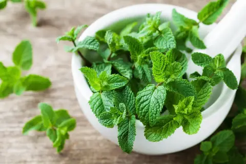 Świeża mięta w moździerzu, idealna na zaparcia. Jej aromatyczne liście to naturalny sposób na ulgę.