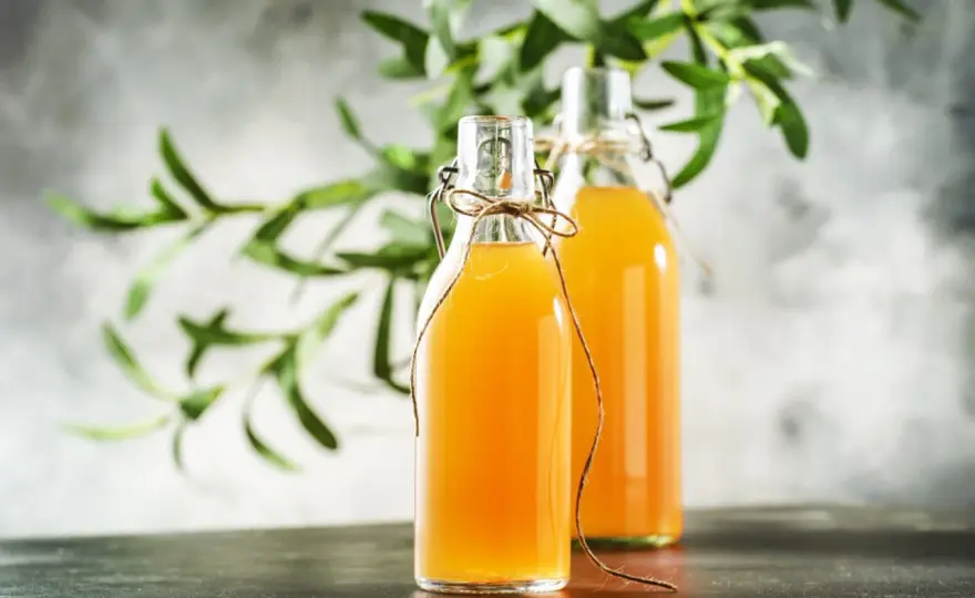 Domowa Kombucha - Prosty przepis na idealny napój fermentowany