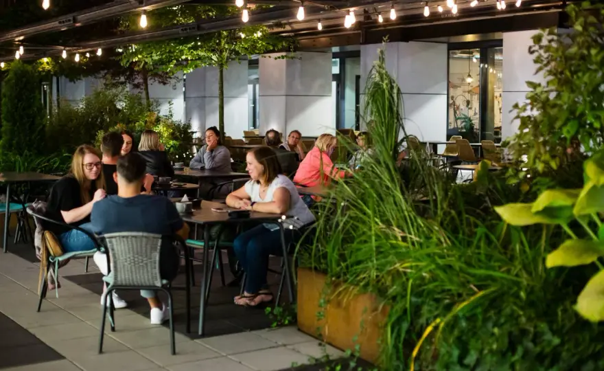 Nowe restauracje Łódź - Gdzie jeść i jak wybrać?