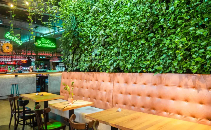 Restauracje w Krakowie - najlepsze miejsca na każdą okazję
