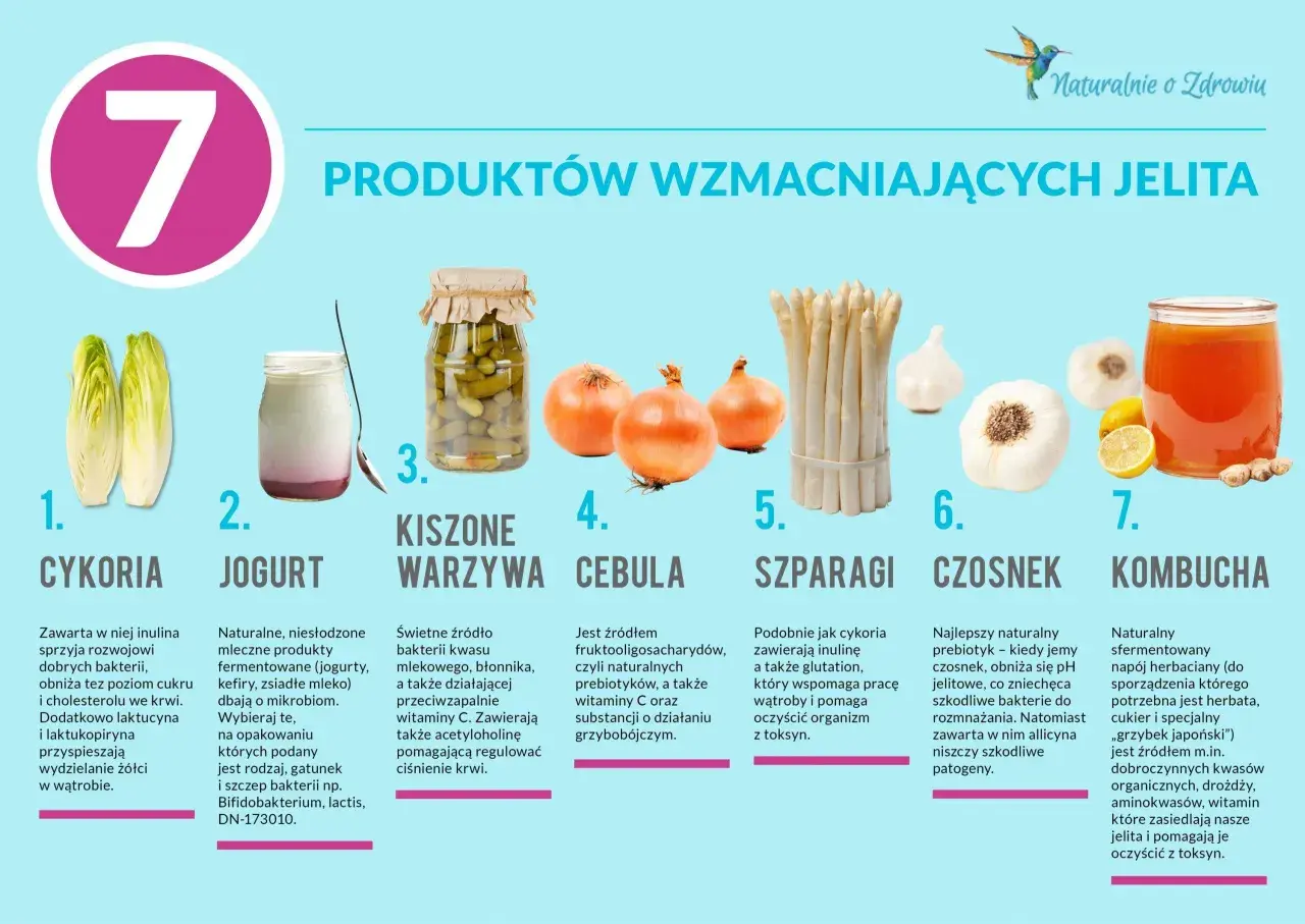 Cykoria, jogurt, kiszone warzywa, cebula, szparagi, czosnek i kombucha – produkty wzmacniające jelita. Czosnek to naturalny prebiotyk, a zielona herbata (kombucha) oczyszcza z toksyn.