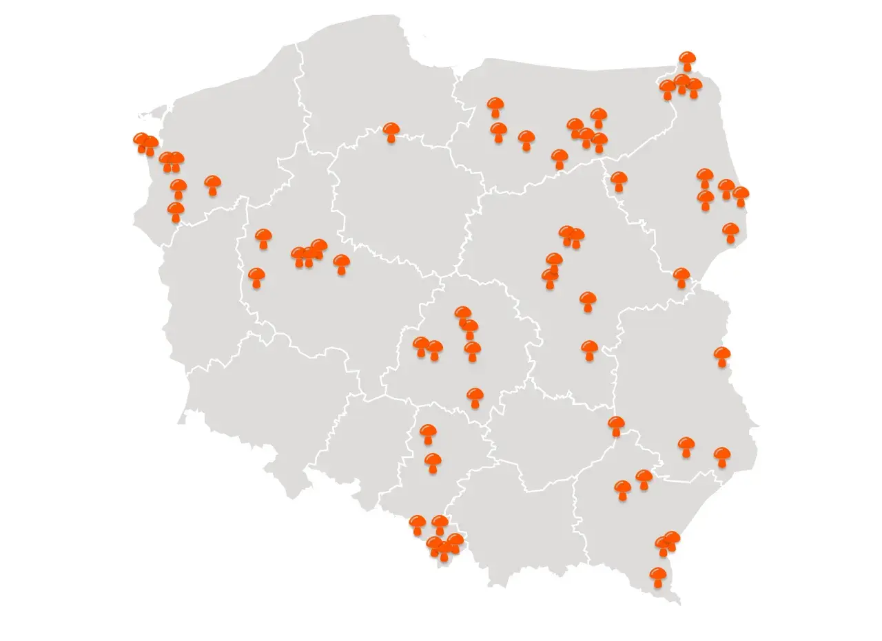 Mapa Polski z zaznaczonymi miejscami, gdzie są grzyby. Pomarańczowe pinezki w kształcie grzybów wskazują popularne lokalizacje dla grzybiarzy.